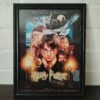 Cuadros de película - Harry potter