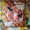 Fundas para libro - Inspiradas en Alas de sangre