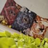Fundas para libro - Inspiradas en Alas de sangre
